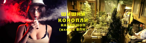 марки lsd Бородино